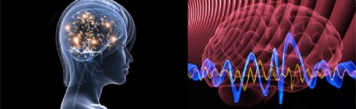 Uyku Fizyolojisi ve Hastalıkları